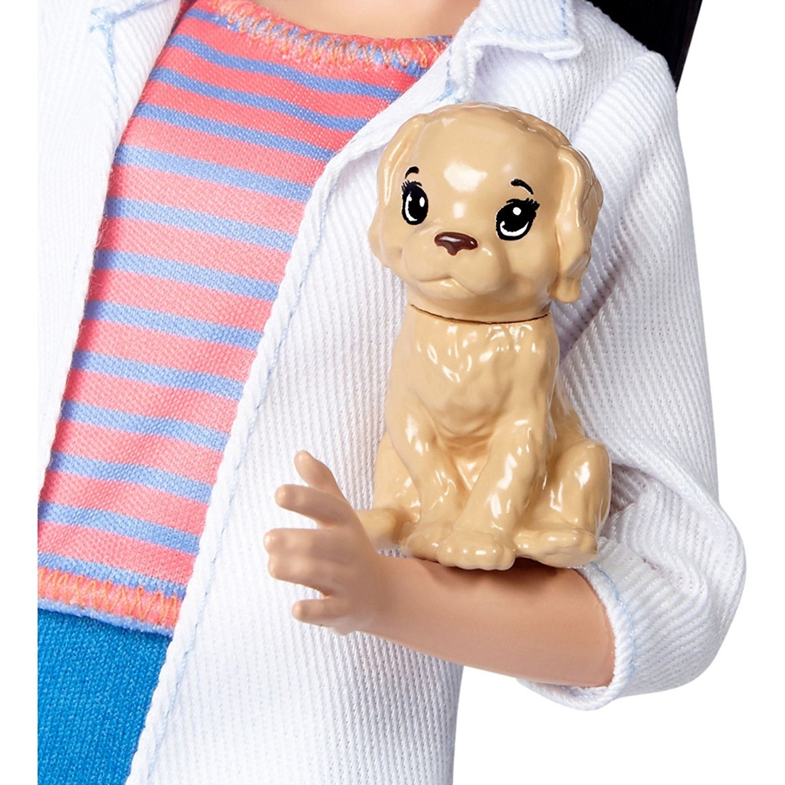 Barbie Kariyer Bebekleri Veteriner DVF58